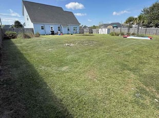 Dora M.'s lawn care service result