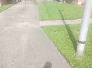 Cedric H.'s lawn care services service result