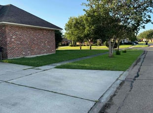 Shirley F.'s lawn maintenance service result