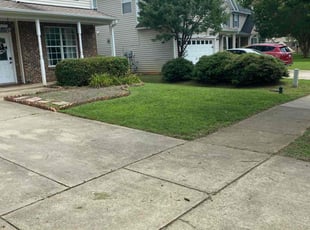 Ramesh G.'s lawn care services service result