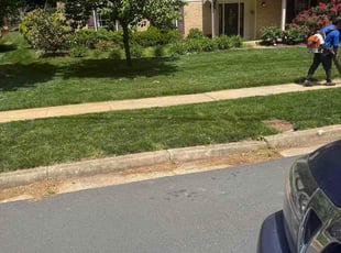 John K.'s lawn care services service result