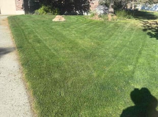 Christopher C.'s turf maintenance service result