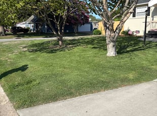 Robert M.'s grass maintenance service result