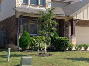 Brandon B.'s Bush Trimming service result