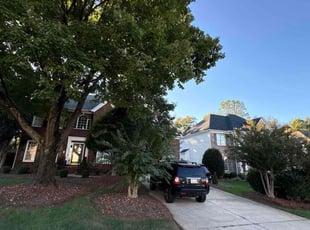 Thaddius H.'s lawn care services service result