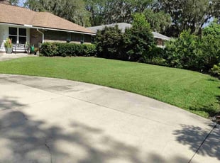 Stephen W.'s turf maintenance service result