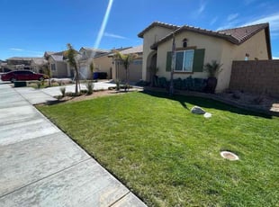 Dona W.'s landscape maintenance service result