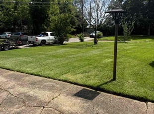 Connie P.'s grass cutting service result
