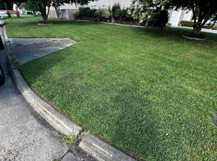 Christopher B.'s lawn service service result