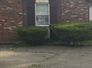 Ann G.'s Bush Trimming service result