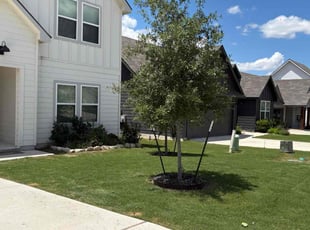 Sandra G.'s yard maintenance service result