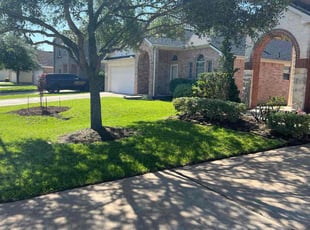 Sean H.'s lawn care service result