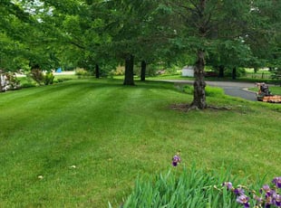 Scott B.'s lawn maintenance service result