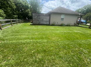 Jennifer N.'s lawn care services service result