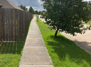 Candance S.'s lawn care services service result