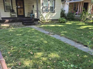 Tina P.'s grass maintenance service result