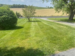 LeRoy A.'s turf care service result