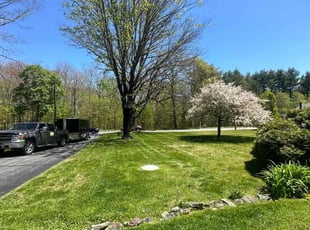 Aleta H.'s turf care service result