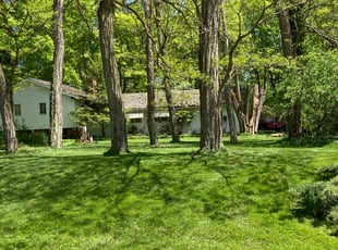 Ashle L.'s grass cutting service result