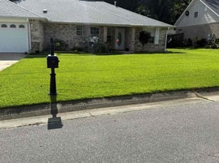 Brittney P.'s lawn care service result