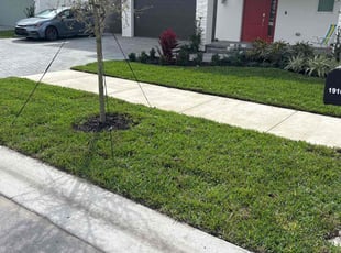 Brent B.'s lawn care services service result