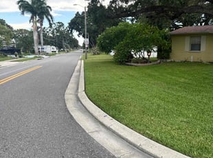 Merary G.'s lawn service service result