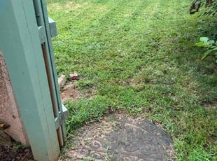 Saifee D.'s lawn service service result