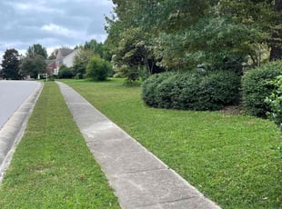 Julie E.'s lawn service service result