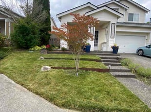 Jim N.'s lawn care services service result