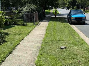 Keysha B.'s lawn care services service result