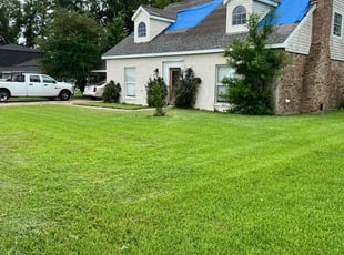 Mary J.'s lawn care services service result