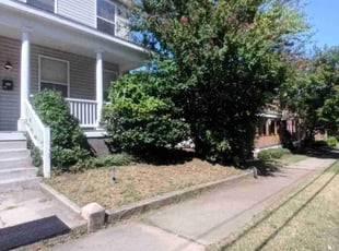 Jamie D.'s Bush Trimming service result