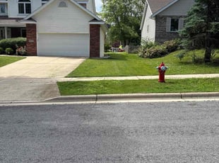 Mollie E.'s lawn care services service result