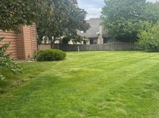 Valorie L.'s lawn care service result