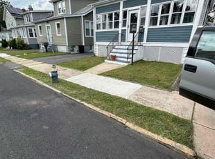 Walterina B.'s grass maintenance service result