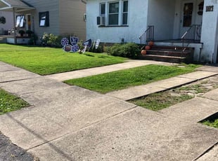 Sheila F.'s grass maintenance service result