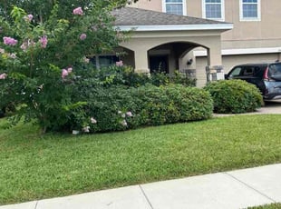 Merrie L.'s landscaping service result