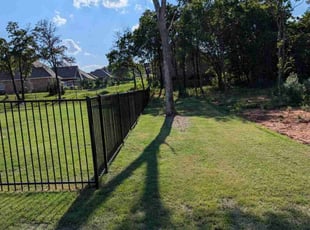 Dennis C.'s grass cutting service result
