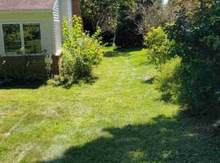 Susan D.'s lawn care service result