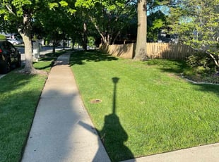 Sergio G.'s lawn maintenance service result