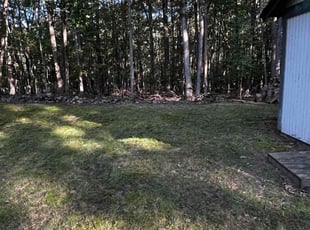 Vernessa C.'s Leaf Removal service result