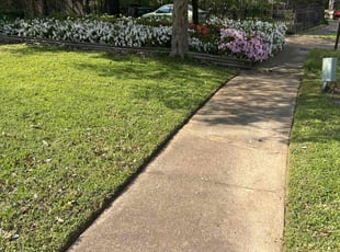 Bridget F.'s lawn care service result