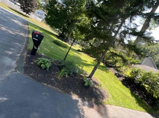 Ray C.'s lawn maintenance service result