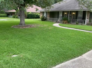 David S.'s lawn care service result