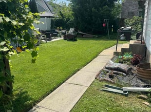 Terry M.'s grass maintenance service result