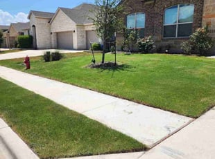 Christopher S.'s grass maintenance service result