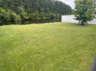 Julia L.'s turf care service result