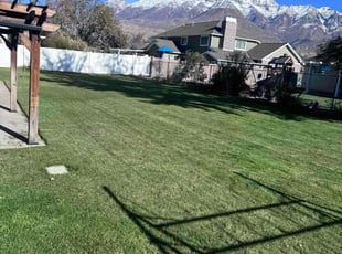 Marvine N.'s grass cutting service result