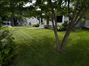 David R.'s lawn care services service result