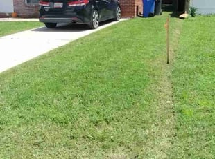 Nathalie E.'s lawn maintenance service result